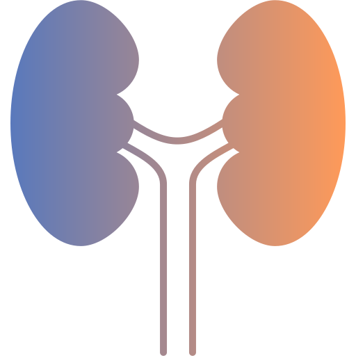 Urology Department at Vedansh Hospital