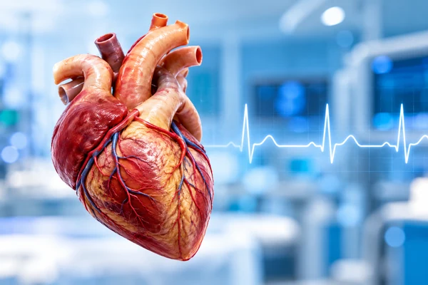 Cardiology Center